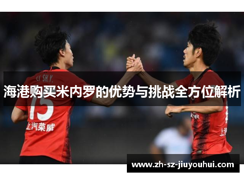 海港购买米内罗的优势与挑战全方位解析 海港购买米内罗的优势与挑战全方位解析