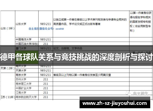 德甲各球队关系与竞技挑战的深度剖析与探讨